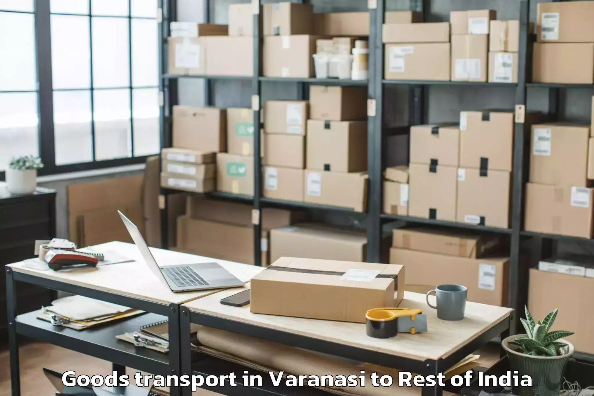 Affordable Varanasi to Eligaid Goods Transport